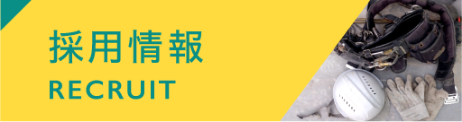 採用情報